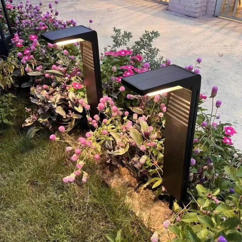 Illumina il tuo giardino senza elettricità né sforzo