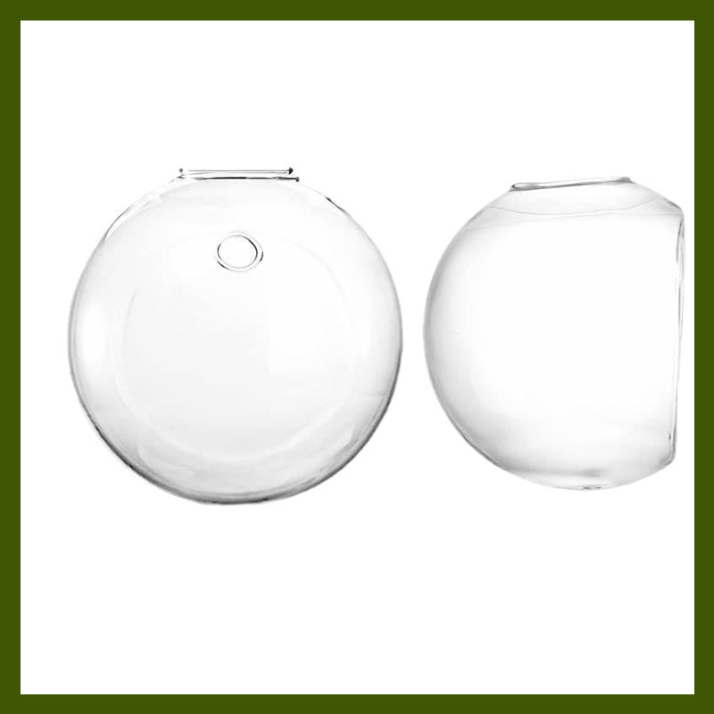 Breng uw planten tot hun recht op uw muren, zonder te boren