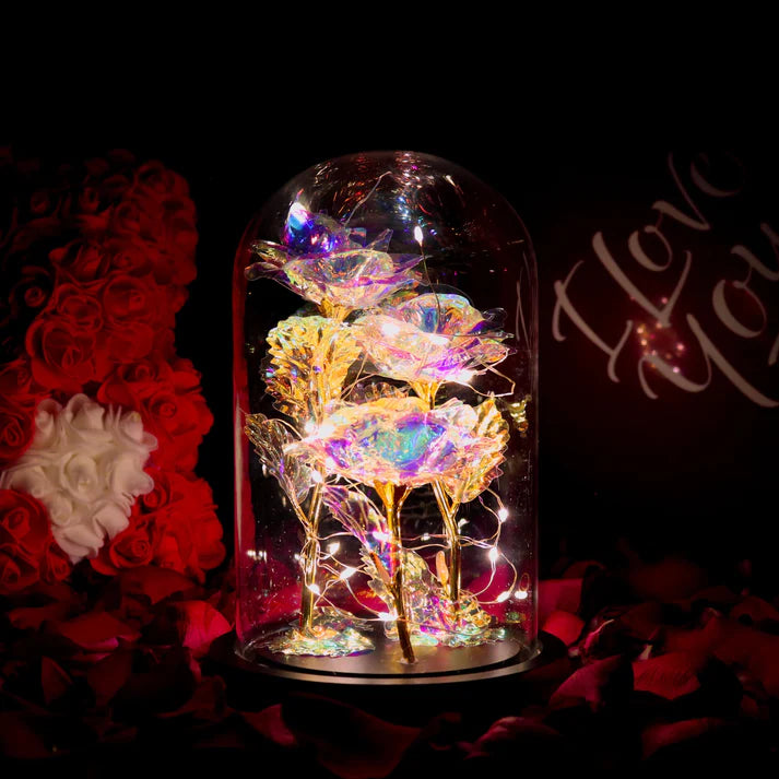 Rose sous Cloche – Élégance Lumineuse et Intemporelle