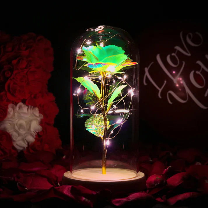 Rose sous Cloche – Élégance Lumineuse et Intemporelle