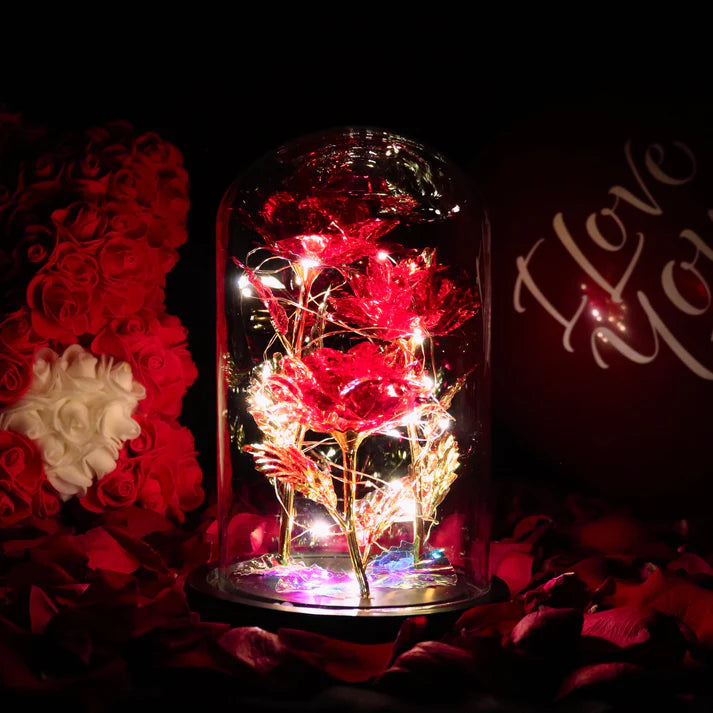 Rose sous Cloche – Élégance Lumineuse et Intemporelle