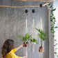 吊るされた植物に簡単にアクセスできます (x4) 
