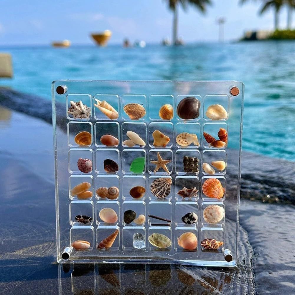 Exposez vos coquillages avec style et sécurité