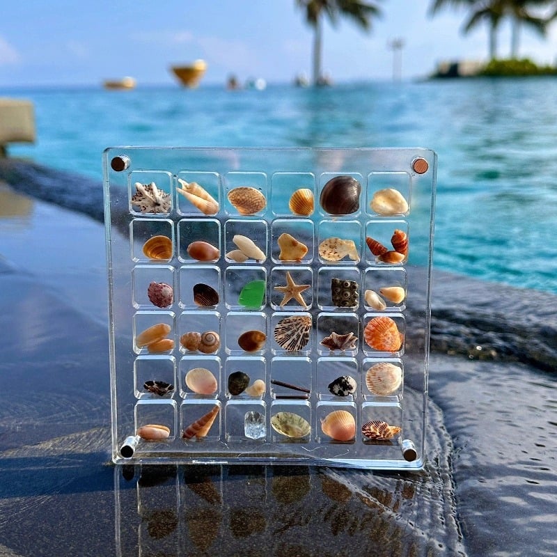 Exposez vos coquillages avec style et sécurité