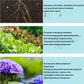 Concentrated fertilizer to naturally revive your plants 