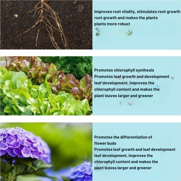 Concentrated fertilizer to naturally revive your plants 