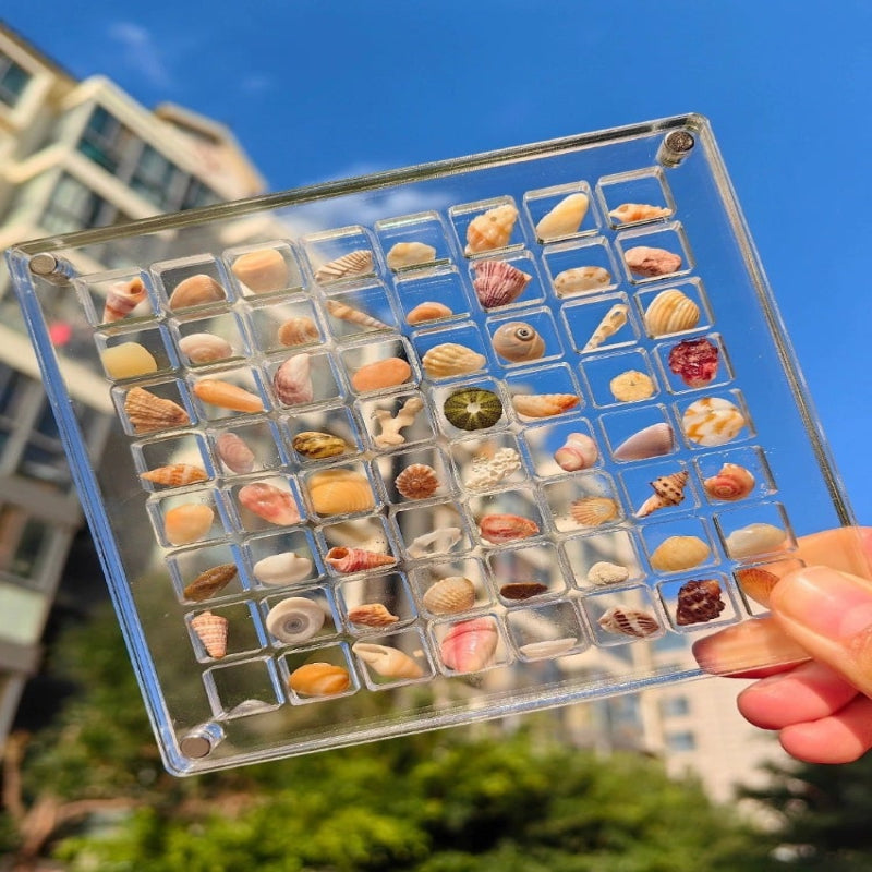 Exposez vos coquillages avec style et sécurité